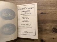 THE NATURAL HISTORY OF SELBORNE   Edited with Notes by GRANT ALLEN  Illustrated by EDMUND H. NEW