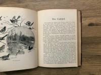 Selections From The Yourth's Companion.  titles continue, FEARLESS IN DUTY 1902 64pp  OUR NATIONAL SENATE 1903 64pp. OUR PRESIDENT 1903 64pp. OLD OCEAN 1894 64pp. BITS OF BIRD LIFE 1895 64pp. GREAT LAKE COUNTRY 1898 64pp, IN NEW ENGLAND 1898 64pp. STUDENT STORIES 1899 64pp.
