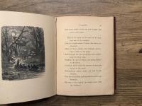 EVANGELINE, A TALE OF ACADIE.   WITH ILLUSTRATIONS BY F. O. C. DARLEY