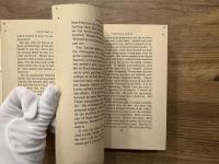 FIGHTING ANGEL  PORTRAIT OF A SOUL