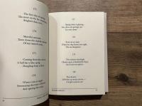 HAIKU  This Other World