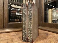 DICTIONNAIRE ETYMOLOGIQUE DES MOTS FRANCOIS DERIVES DU GREC:      SECONDE EDITION