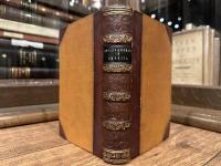 THE ENGLISHWOMAN IN AMERICA
