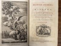 THE BRITISH HERBAL:  AN HISTORY OF PLANTS and TREES, NATIVES of BRITAIN, CULTIVATED FOR USE, OR RAISED FOR BEAUTY.