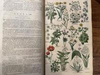THE BRITISH HERBAL:  AN HISTORY OF PLANTS and TREES, NATIVES of BRITAIN, CULTIVATED FOR USE, OR RAISED FOR BEAUTY.