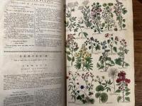 THE BRITISH HERBAL:  AN HISTORY OF PLANTS and TREES, NATIVES of BRITAIN, CULTIVATED FOR USE, OR RAISED FOR BEAUTY.