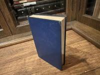 IRISH ESSAYS AND OTHERS