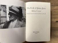 The Exile of James Joyce    Translated from the French by Sally A. J. Purcell