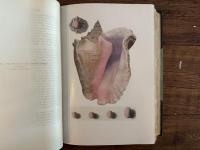 THE BOOK OF THE PEARL   THE HISTORY, ART, SCIENCE, AND INDUSTRY OF THE QUEEN OF GEMS