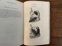 OEUVRES SCIENTIFIQUES DE GOETHE     ANALYSEES ET APRRECIEES PAR ERNEST FAIVRE