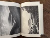The Beautiful, The Sublime, & The Picturesque IN Eighteenth-Century British Aesthetic Theory