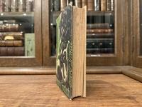 PENNY FOOLISH   A Book of Tirades & Panegyrics