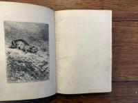 CHAPTERS ON ANIMALS    WITH TWENTY ETCHINGS BY J. VEYRASSAT AND KARL BODMER.