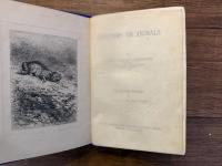 CHAPTERS ON ANIMALS    WITH TWENTY ETCHINGS BY J. VEYRASSAT AND KARL BODMER