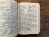 TURKISCH - DEUTSCHES WORTERBUCH   TURKCE - ALMANCA SOZLUK