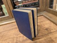 PERSIAN LETTERS   Newly Translated into English  WITH NOTES AND MEMOIR OF THE AUTHOR BY JOHN DAVIDSON    WITH PORTRAT AND EIGHT ETCHINGS BY ED. DE BEAUMONT   ENGRAVED BY E. BOILVIN   IN TWO VOLUMES
