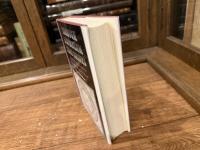 Through a Speculum That Shines    VISION AND IMAGINATION IN MEDIEVAL JEWISH MYSTICISM