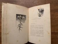 Madame Chrysantheme   Dessins et aquarelles De ROSSI ET MYRBACH  Gravure de Guillaume Freres