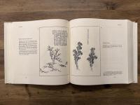 THE TAO OF PAINTING