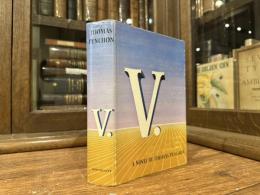   V.  A NOVEL