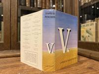   V.  A NOVEL