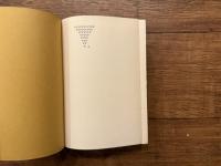   V.  A NOVEL