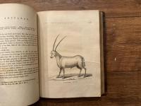 HISTORY of QUADRUPEDS