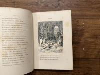 THE PRINCESS:   A MEDLEY.    WITH TWENTY-SIX ILLUSTRATIONS ENGRAVED ON WOOD BY DALZIEL, GREEN, THOMAS, AND E. WILLIAMS, FROM DRAWINGS BY DANIEL MACLISE, R.A.