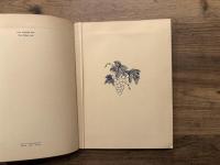 THE, RUBAIYAT OF OMAR KHAYYAM   ILLUSTRATED BY RONALD BALFOUR