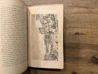 NARRATIVE OF AN EXPEDITION TO THE ZAMBESI AND ITS