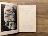 THE WHITE SLAVES OF ENGLAND    BEING TRUE PICTURES OF CERTAIN SOCIAL CONDITIONS IN THE KINGDOM OF ENGLAND IN THE YEAR 1897     ILLUSTRATED BY HAROLD PIFFARD