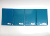 Biolinguistics. Critical Concepts in Linguistics.