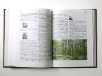 УЧЕБЕН РУСКО-БЪЛГАРСКИ РЕЧНИК (Educational Russian-Bulgarian Dictionary). 教育用 ロシア語‐ブルガリア語辞典　