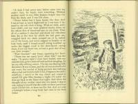 The Magic Jacket and Other Stories. With Illustrations by Irene Hawkins.