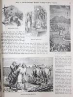 Neue Illustrirte Familien Bibel，fur Hausliche Erbauung und Belehrung.