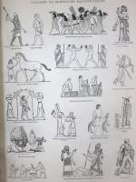Neue Illustrirte Familien Bibel，fur Hausliche Erbauung und Belehrung.