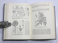 The Families of Flowering Plants. Arranged According to a New System Based on Their Probable Phylogeny. Vol.I: Dicotyledons. Vol.II: Monocotyledons.