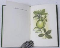 (英)In Sicily. With Drawings by Stephen Tennant. [Ariel Poem no.27]