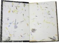 The Shepherd’s Calendar. Illustrated by John Lawrence. (Set with a portfolio with an extra set of 14 artist’s proofs.) (英)羊飼いの暦　