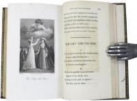 Poems，by William Cowper，of the Inner Temple，esq. (英)ウィリアム・クーパー詩集　