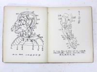 Die Chinesische Medizin zu Beginn des XX. Jahrhunderts und ihr historischer Entwicklungsgang. [China=Bibliothek der Asia Major. Band 1] (独) 中華醫學　(20世紀初頭の中国医学とその発展史)　