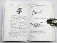 Medieval Herbal Remedies. The Old English Herbarium and Anglo-Saxon Medicine.