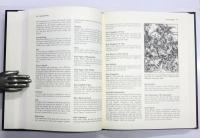 Medieval Wordbook.