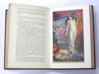 The Brown Fairy Book. With Eight Colored Plates and Numerous Illustrations by H.J.Ford. ちゃいろの童話集　