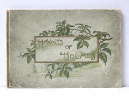 Haunts of Holmes. Illustrations by Louis K.Harlow. 