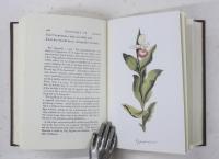 The Poetical Works of Erasmus Darwin with Philosophical Notes and Plates. Vol.I，Being Vol.I of The Botanic Garden，Containing The Economy of Vegetation. Vol.II，Being Vol.II of The Botanic Garden，Containing The Love of the Plants. With Philosophical Notes. Vol.III，Containing The Temple of Nature. エラズマス・ダーウィン詩集　
