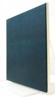 Der Dichter und die Löwenzahnwiese. Grafik Ingrid Jörg. (詩人とタンポポの草原)　
