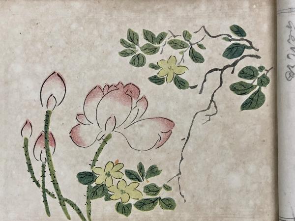 五色可羅版 十竹斎書画譜 ⁄ 古本、中古本、古書籍の通販は「日本 ykbd