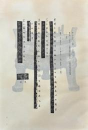 楚文物展覧図録