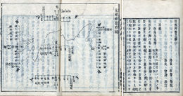 惶根草